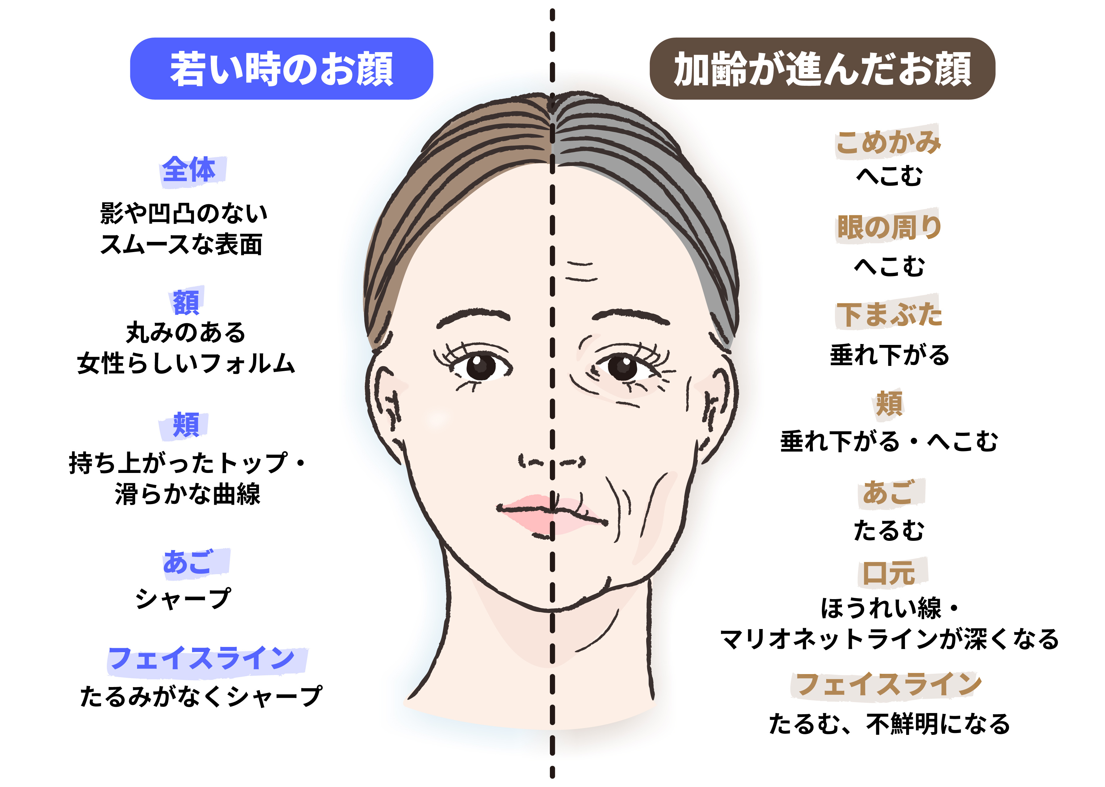 若いときと加齢後の顔の比較